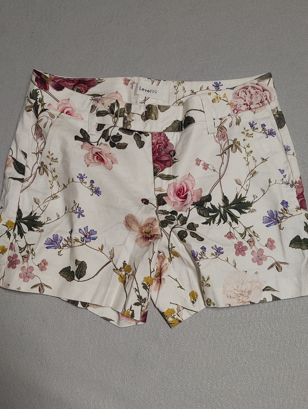 Level 99 Cindie Shorts Size 27